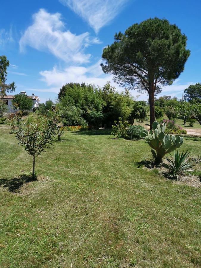 Home Garden Siniscola Bagian luar foto