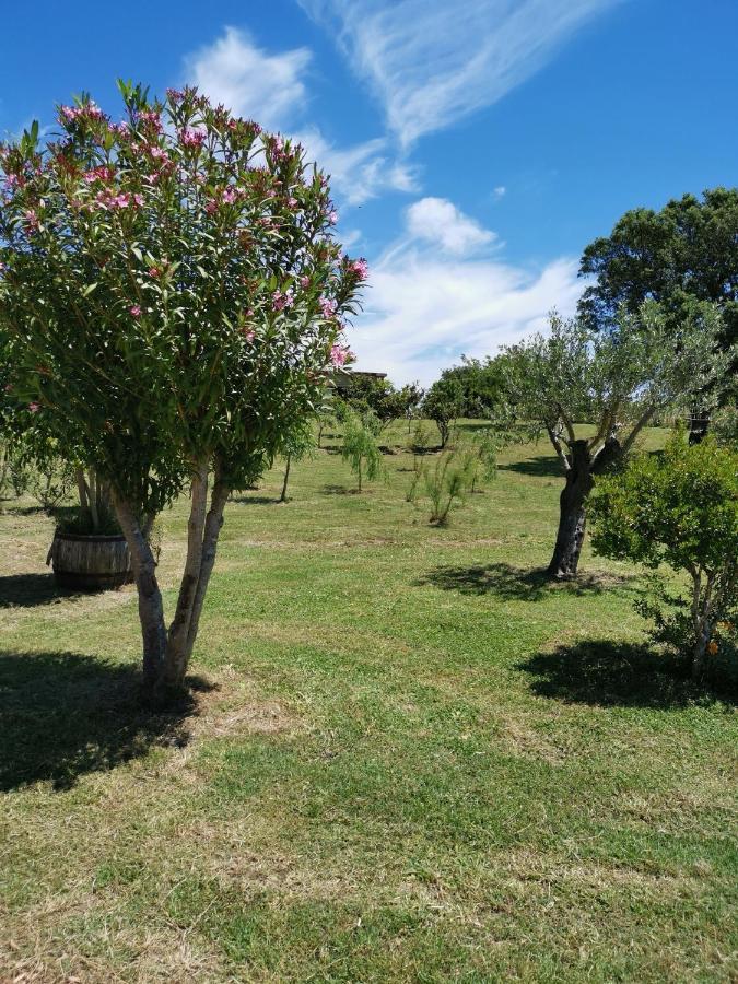 Home Garden Siniscola Bagian luar foto