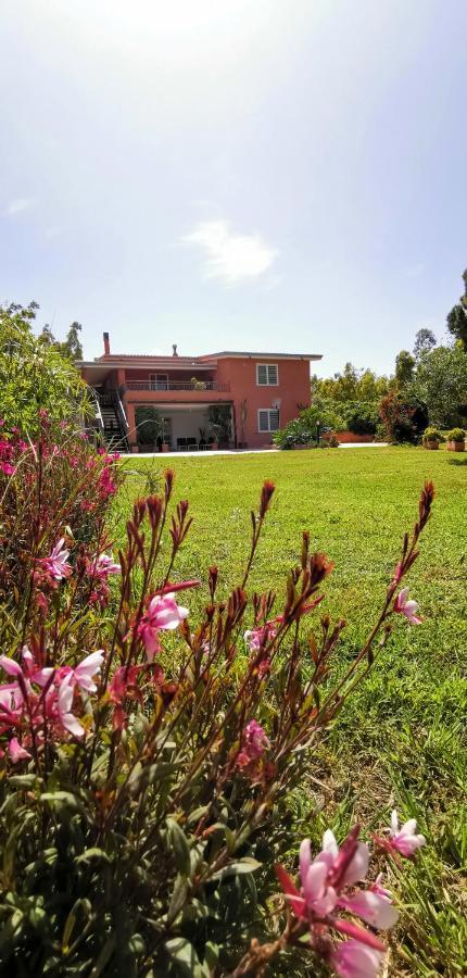 Home Garden Siniscola Bagian luar foto